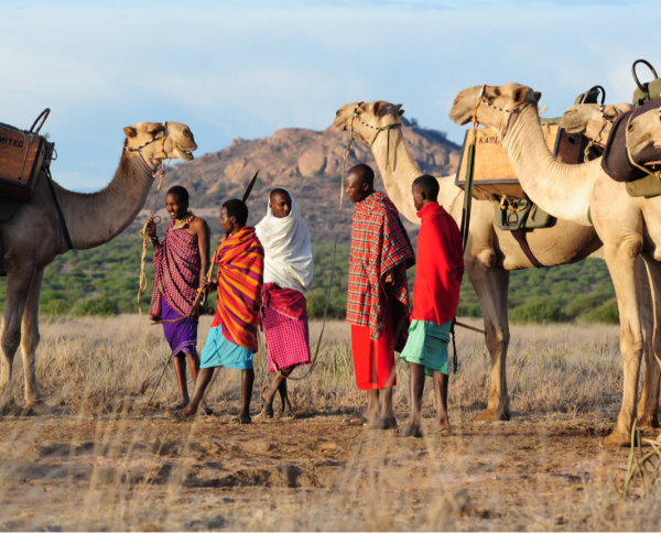 Karisia Walking Safaris