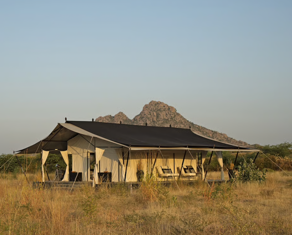 Sujan Jawai Leopard Camp