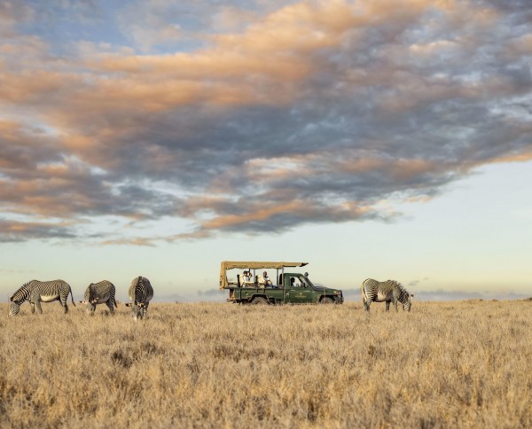 Lewa Safari Camp