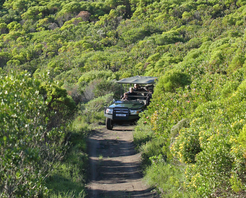 Grootbos Private Reserve