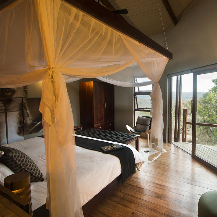 Safari Room