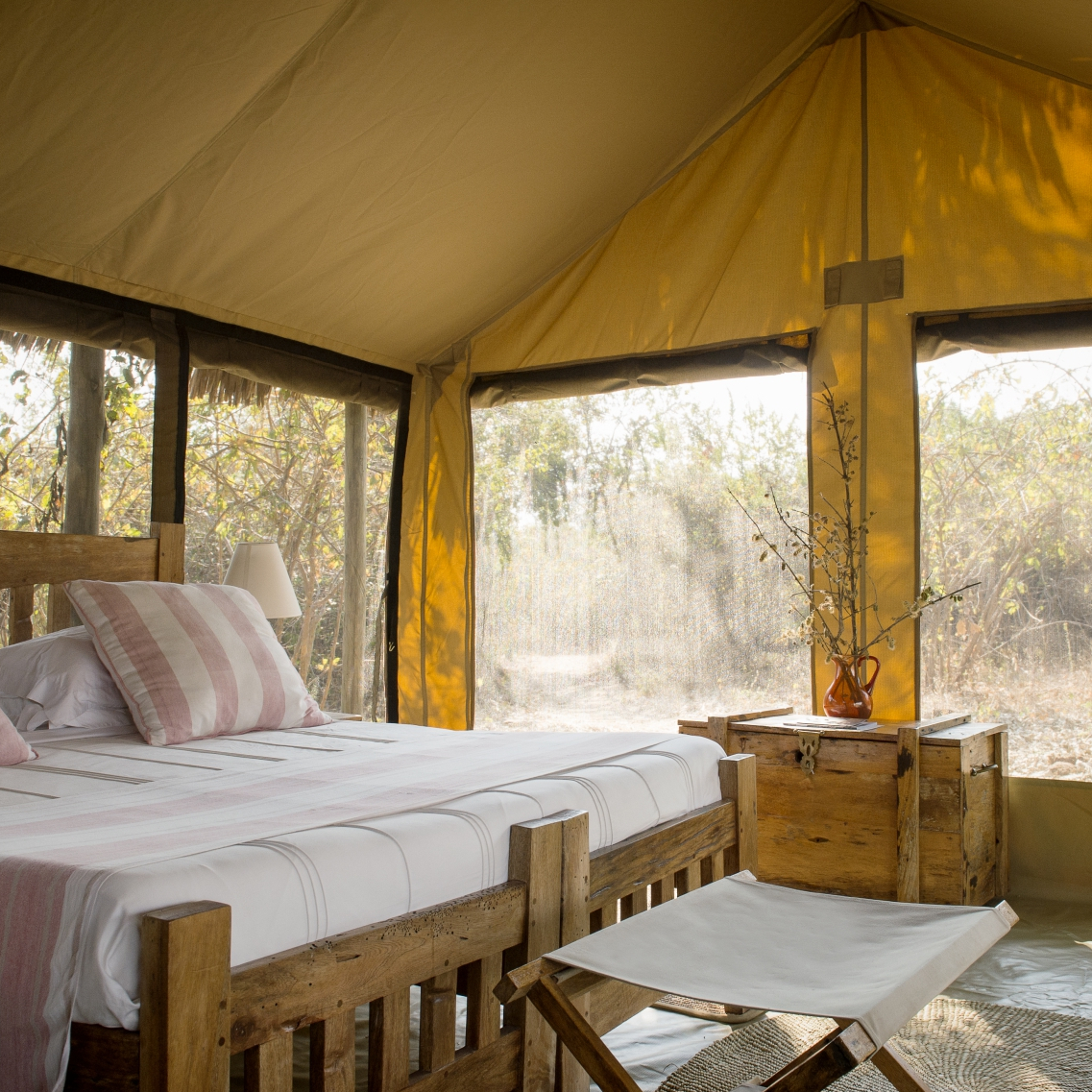 Tented Suite