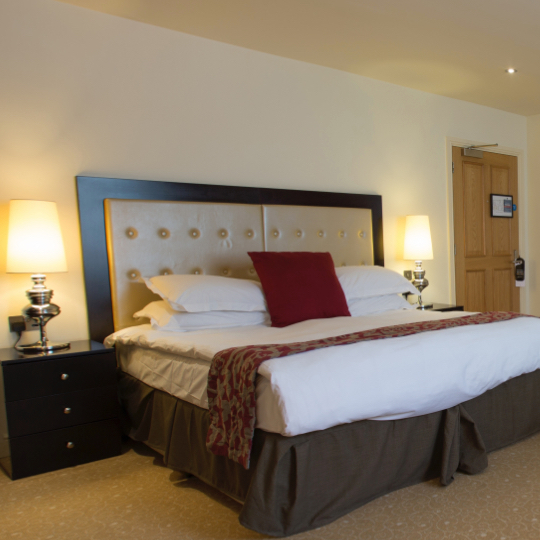 Fancy Room