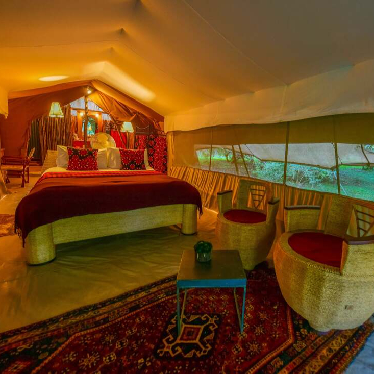 Safari Guest Tent 