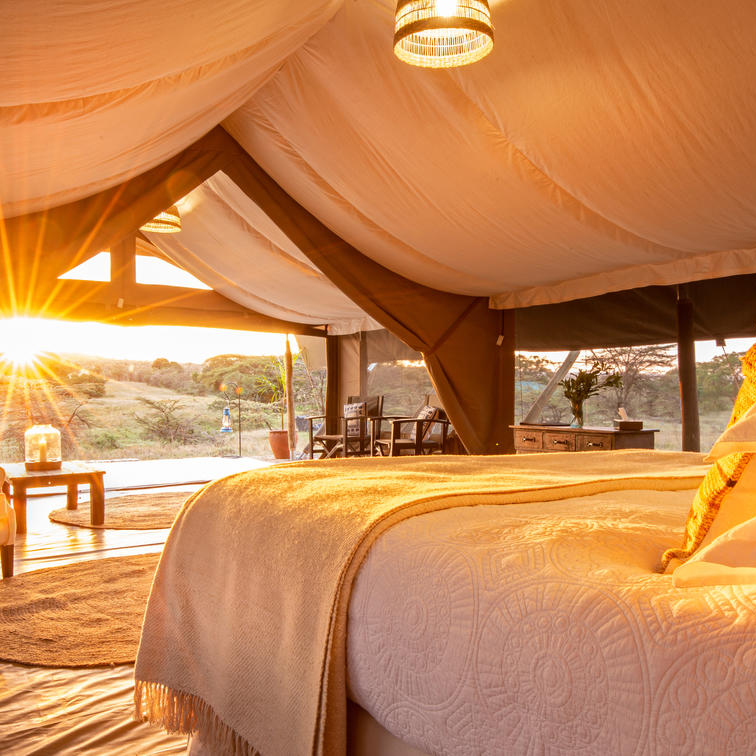 Luxury Tent