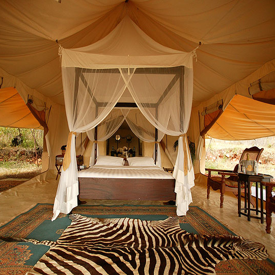 Honeymoon Tent