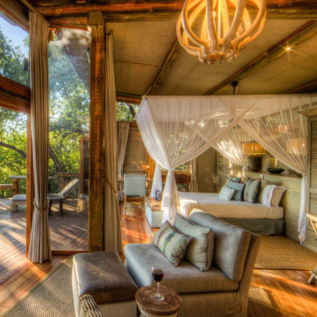 Safari Suite