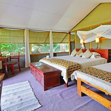 Safari tented room