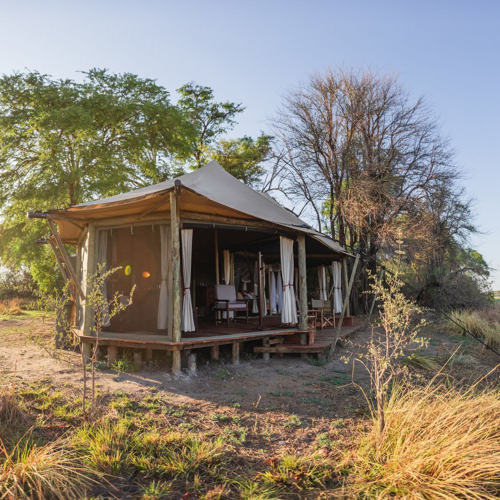 Safari tent