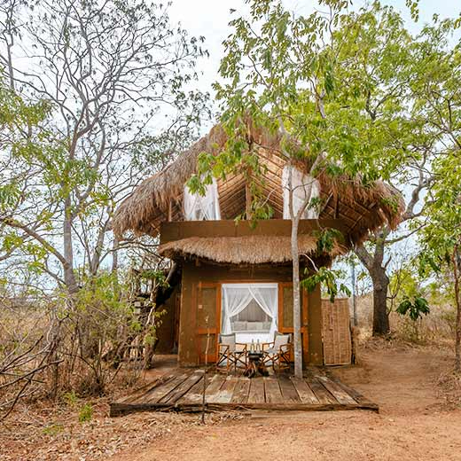 Luxury Neem Tree House