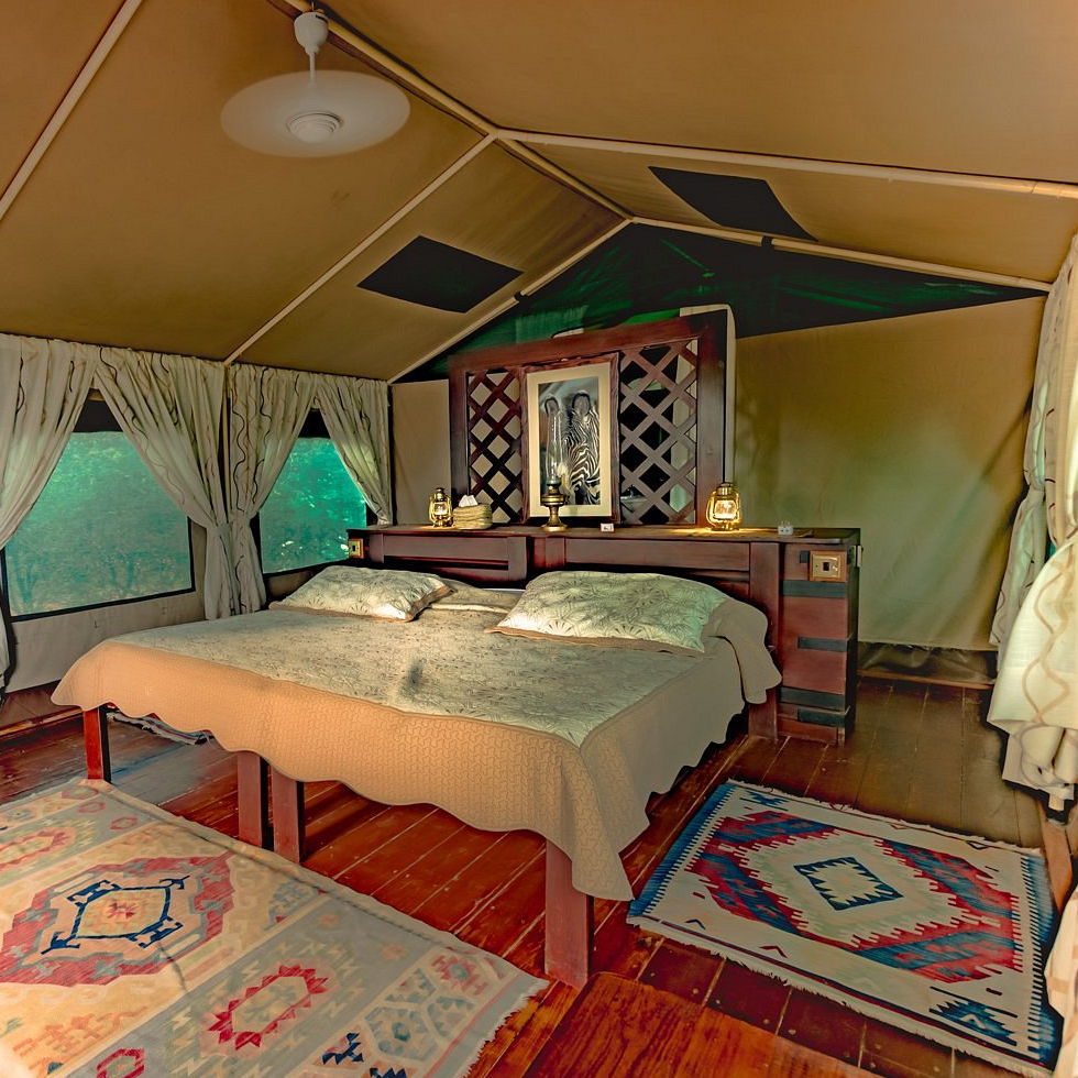 Tent