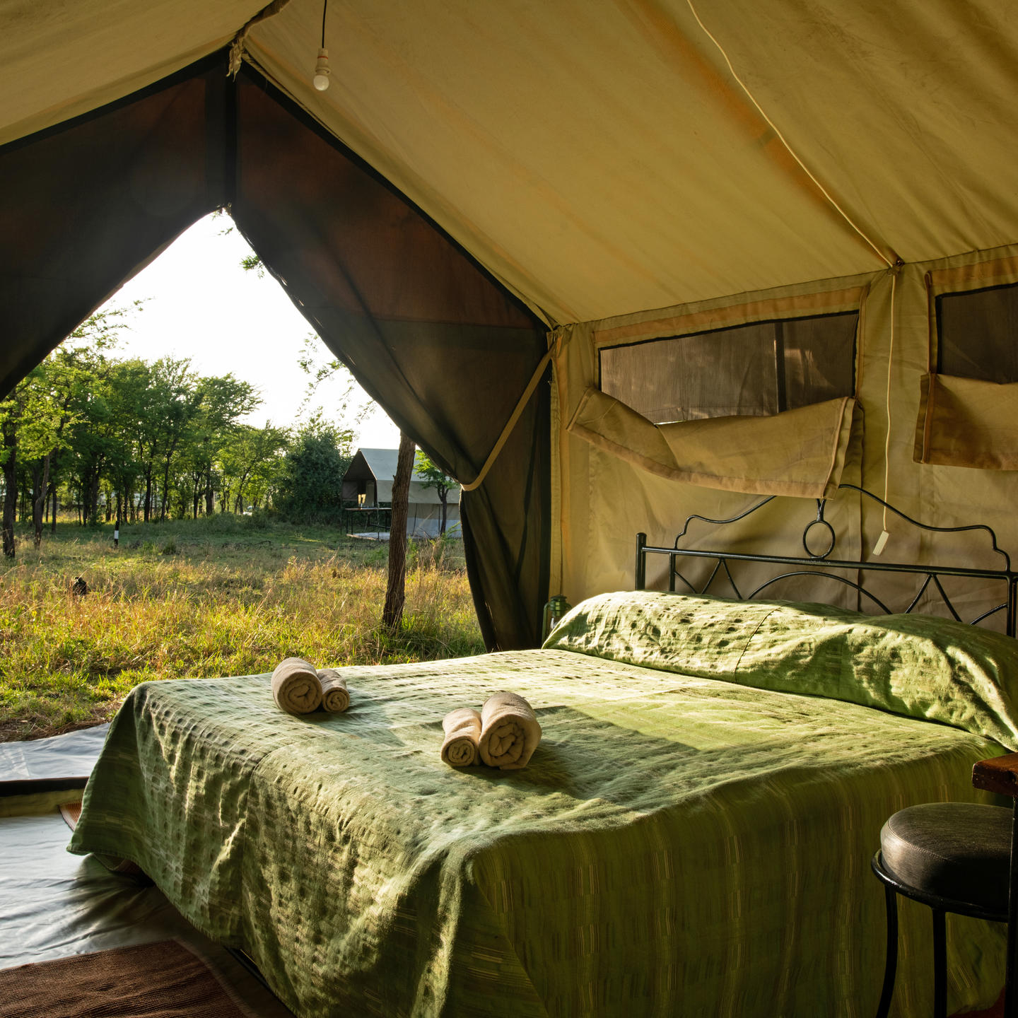 Safari Tents
