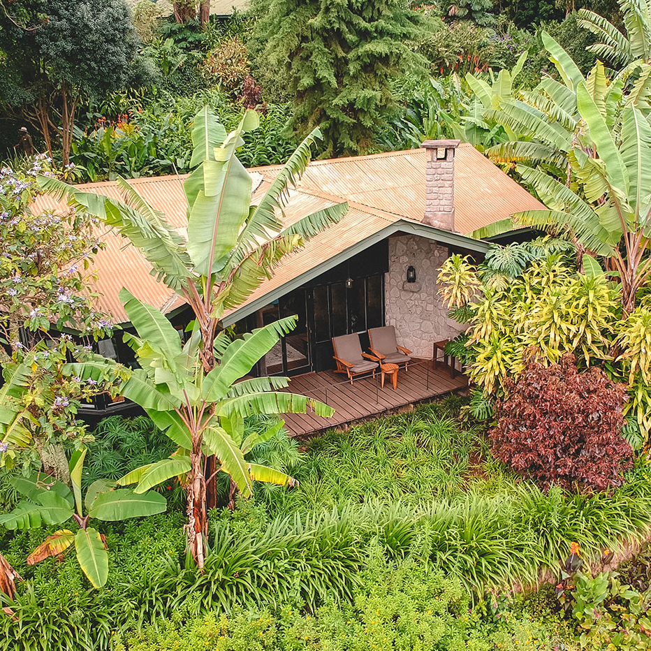 Cottage