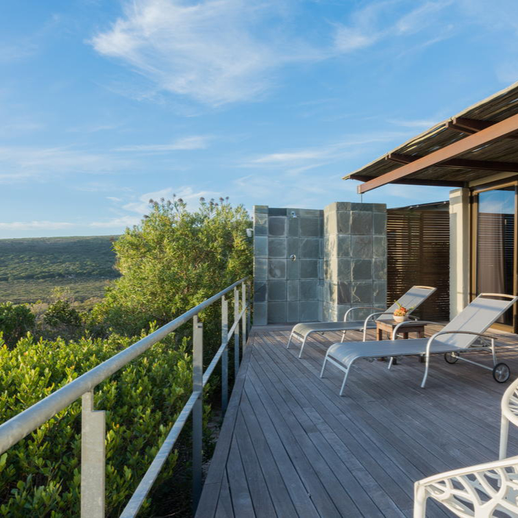 Forest Lodge Suite