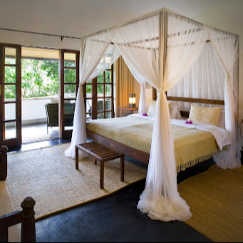 Eucalyptus Suite